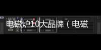 電磁爐10大品牌（電磁爐品牌排名）