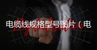 電纜線規格型號圖片（電纜線規格型號）