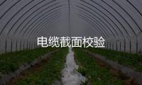 電纜截面校驗