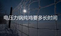 電壓力鍋燉雞要多長時間