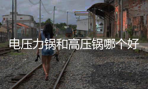 電壓力鍋和高壓鍋哪個好
