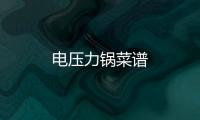 電壓力鍋菜譜