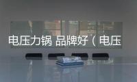 電壓力鍋 品牌好（電壓力鍋 品牌）