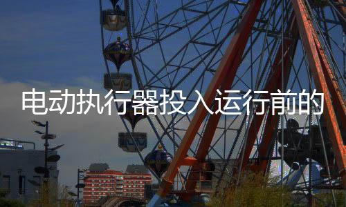 電動(dòng)執(zhí)行器投入運(yùn)行前的檢測(cè)