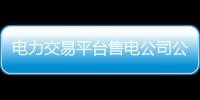 電力交易平臺售電公司公示條件及費用