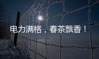 電力滿格，春茶飄香！