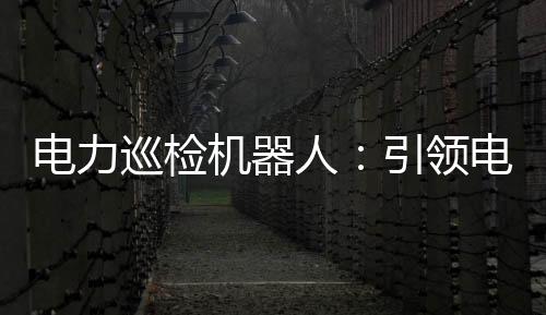 電力巡檢機器人：引領電力行業新變革