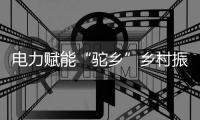 電力賦能“駝鄉”鄉村振興