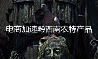 電商加速黔西南農特產品“出山”