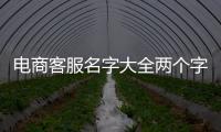 電商客服名字大全兩個字（客服名字大全兩個字招財）