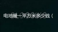 電地暖一平方米多少錢（電地暖每平米多少錢）