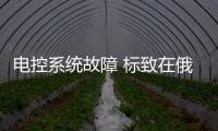 電控系統故障 標致在俄羅斯召回4007