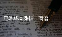 電池成本漲幅“離譜” 新能源車企漲聲一片