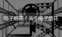 電子煙花（關于電子煙花的基本情況說明介紹）