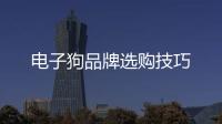 電子狗品牌選購技巧