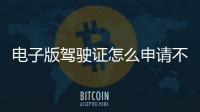 電子版駕駛證怎么申請不成功（電子版駕駛證怎么申請）