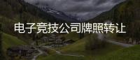 電子競技公司牌照轉讓