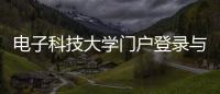 電子科技大學門戶登錄與電子科技大學軟件下載的原因