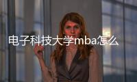 電子科技大學mba怎么樣？ 美國遠程mba