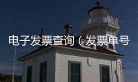 電子發(fā)票查詢（發(fā)票單號查詢）