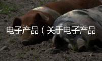 電子產品（關于電子產品的基本情況說明介紹）