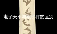 電子天平與電子秤的區別