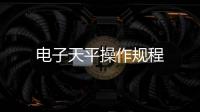 電子天平操作規(guī)程