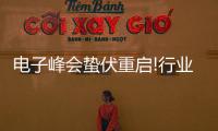 電子峰會(huì)蟄伏重啟!行業(yè)盛宴不容錯(cuò)過