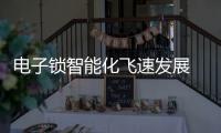 電子鎖智能化飛速發展 行業標準有待統一