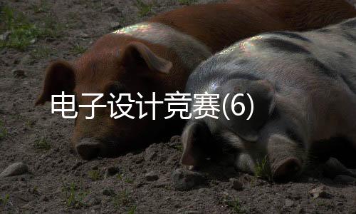 電子設(shè)計(jì)競賽(6)