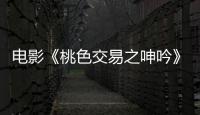 電影《桃色交易之呻吟》精彩劇情介紹、角色介紹【明星】風尚中國網