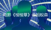 電影《梭梭草》@螞蟻森林種梭梭有故事啦