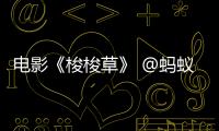 電影《梭梭草》 @螞蟻森林 種梭梭有故事啦……