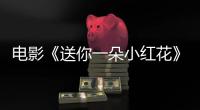 電影《送你一朵小紅花》預(yù)售破3000萬