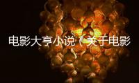 電影大亨小說（關于電影大亨小說的基本情況說明介紹）