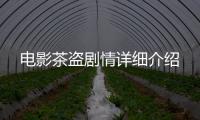 電影茶盜劇情詳細介紹