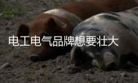 電工電氣品牌想要壯大 利用創新思維應對問題