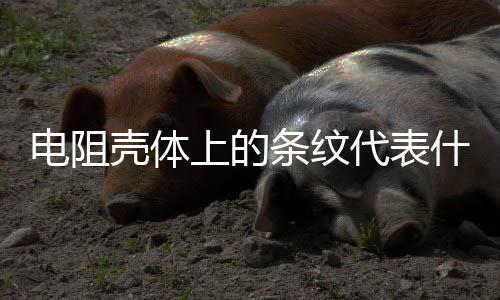 電阻殼體上的條紋代表什么