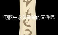 電腦中永久刪除的文件怎么恢復(fù)（電腦永久性刪除的文件怎么恢復(fù)）