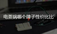 電蒸鍋哪個牌子性價比比較高？電蒸鍋最建議買的三個品牌