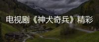 電視劇《神犬奇兵》精彩劇情介紹【風尚娛樂網】風尚中國網
