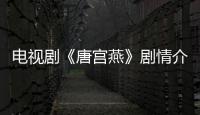電視劇《唐宮燕》劇情介紹