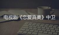電視劇《戀愛真美》中衛藍的扮演者是誰？