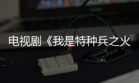電視劇《我是特種兵之火鳳凰》全集