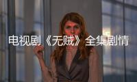 電視劇《無賊》全集劇情介紹1
