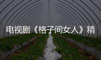 電視劇《格子間女人》精彩劇情介紹、全集主演介紹【明星】風尚中國網