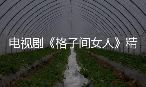 電視劇《格子間女人》精彩劇情介紹、全集主演介紹【明星】風尚中國網
