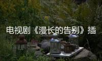 電視劇《漫長的告別》插曲是什么？