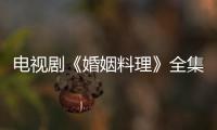 電視劇《婚姻料理》全集精彩劇情介紹、演員表【明星】風(fēng)尚中國網(wǎng)