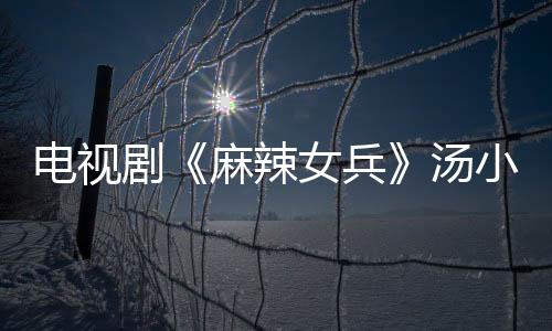 電視劇《麻辣女兵》湯小米的扮演者是誰？